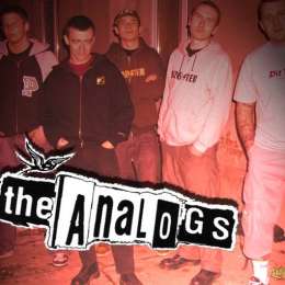 The Analogs